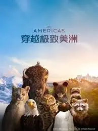 《穿越极致美洲》：一场视觉盛宴，带你领略地球另一端的别样风情！