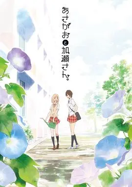 《牵牛花与加濑同学。》：这青春动漫的神鉴宝级纯爱，看得老夫的少女心炸裂！